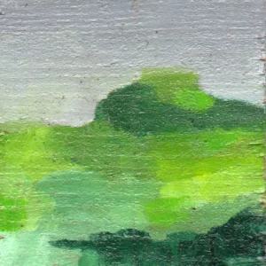 Microlandscape 054