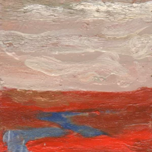 Microlandscape 058