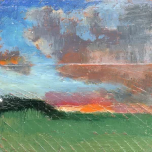 Microlandscape 098