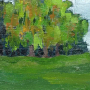 Microlandscape 109
