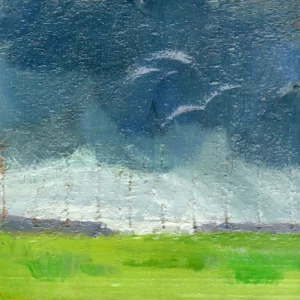Microlandscape 129