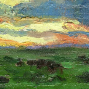 Microlandscape 158