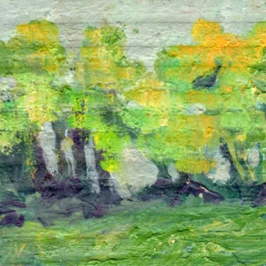 Microlandscape 172